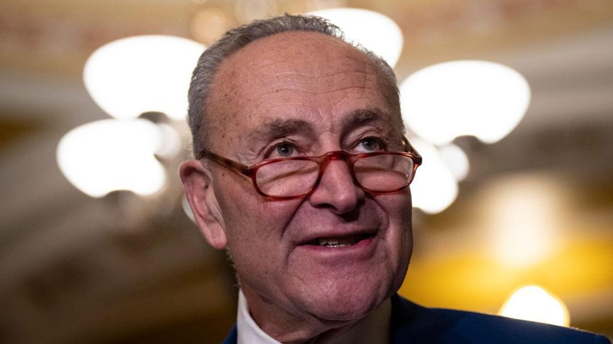 Chuck Schumer says the 'ultimate goal' is a citizenship pathway for all undocumented immigrants in the US