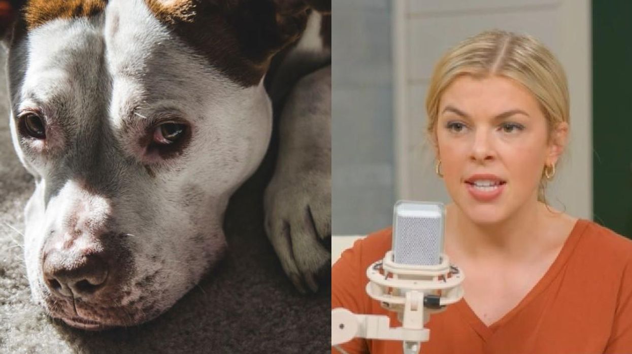 BAN THE BREED? Allie Beth Stuckey says PIT BULLS are too dangerous to be pets