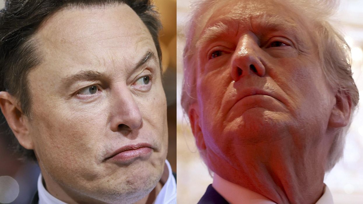Elon Musk posts a Twitter poll asking whether Trump's account should be reinstated