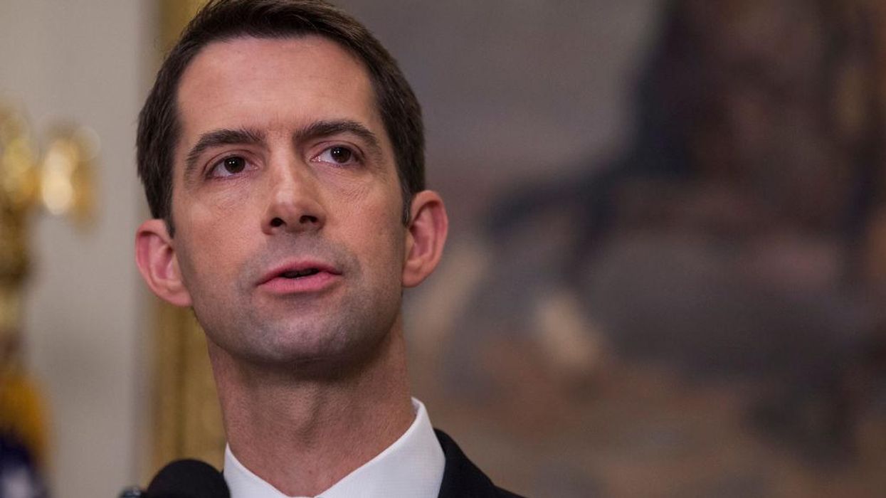 Anonymous tip line exposes 'hundreds of instances' of 'left-wing social engineering' in military training, says Senator Tom Cotton