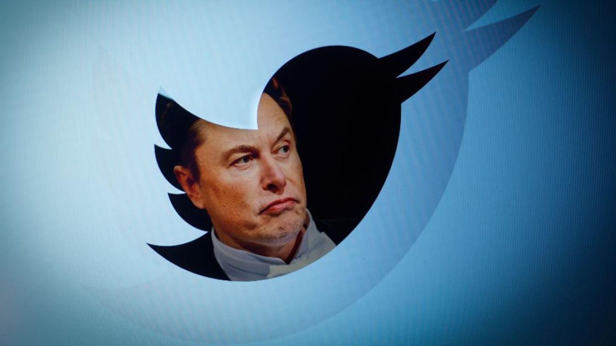 Elon Musk runs poll on whether Twitter should grant mass amnesty to suspended accounts