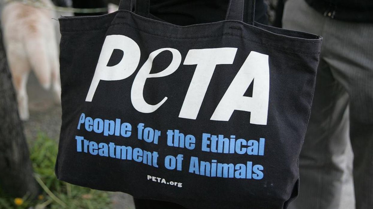 'The dinner tables turned': PETA posts cartoon of turkey family preparing to eat a human