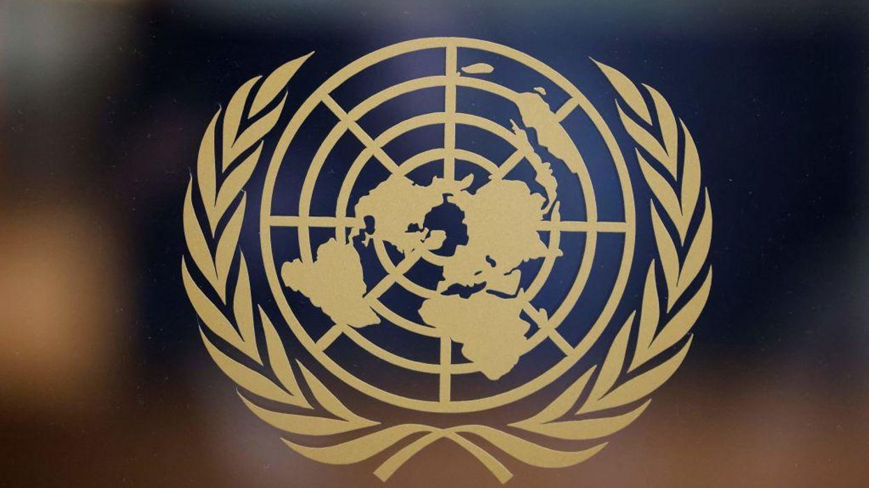 UN faces pushback against assertion that 'words can be weapons'
