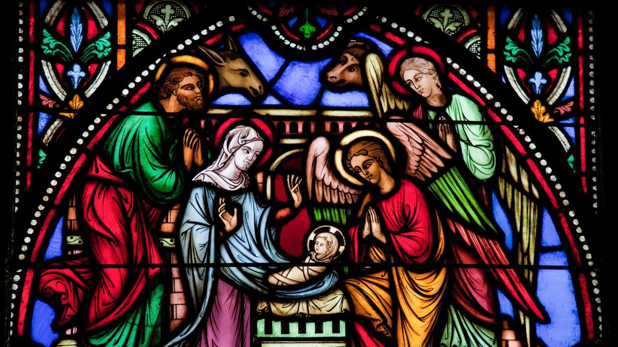 Florida man sexually abused dog, wreaked havoc at nearby church, and attempted to steal car in wild, action-packed outing, police say