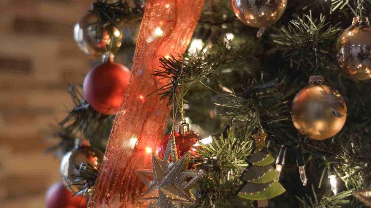 Christmas tree banned from public library allegedly after 'people were made uncomfortable' by it last year