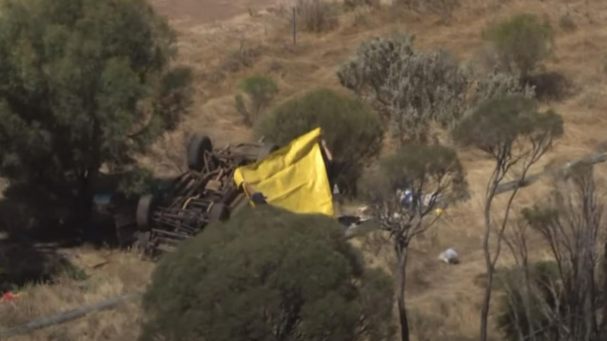 5-year-old girl helped younger brothers survive alone for 2 days after parents die in a car accident in Australia