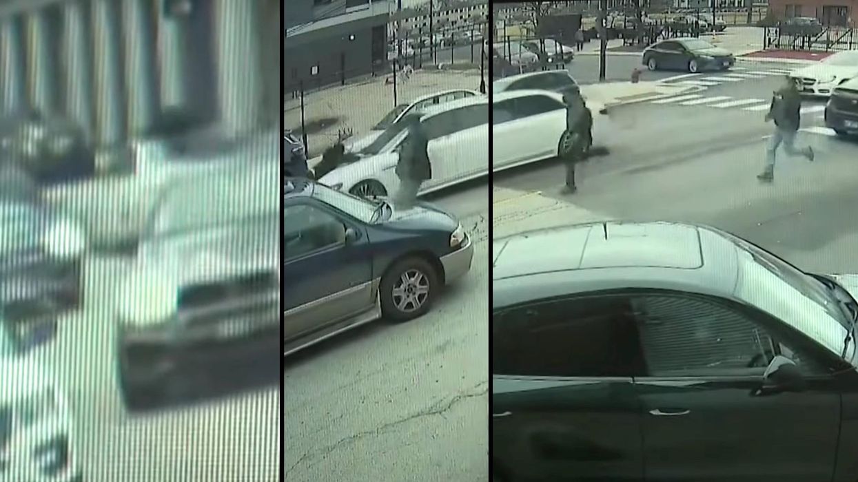 Video captures car thief speeding away from cops after hopping on the hood of his getaway car