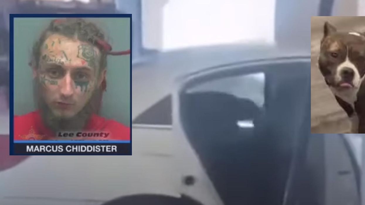 Florida man caught on viral video beating his dog gets 3-year prison sentence and is forbidden from owning any animals