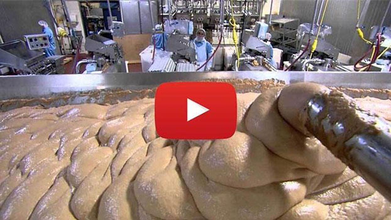 This 1 mistake can shed years off your dog's life