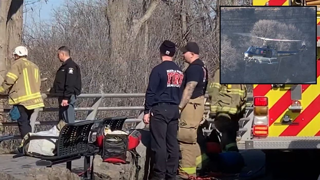 Mother dead, 5-year-old son severely injured after jumping into Niagara Gorge: Report