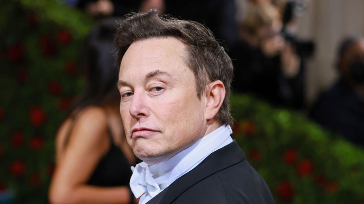 Elon Musk dips his toe into 'Dilbert' cartoonist controversy, says US media is 'racist against whites & Asians'