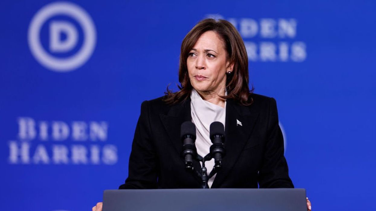 Dem admin official says Biden must deal with 'succession' problem — and it's bad news for Kamala Harris