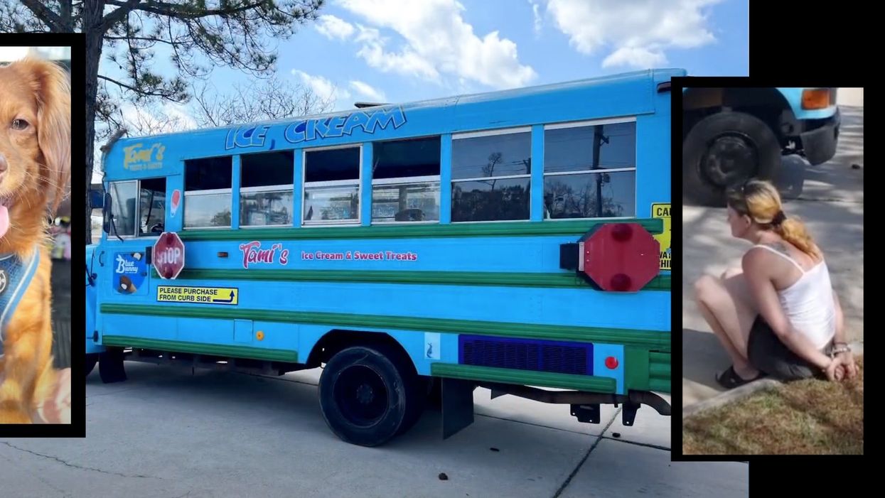 Police find methamphetamine and puppies inside ice cream truck running out of blue school bus