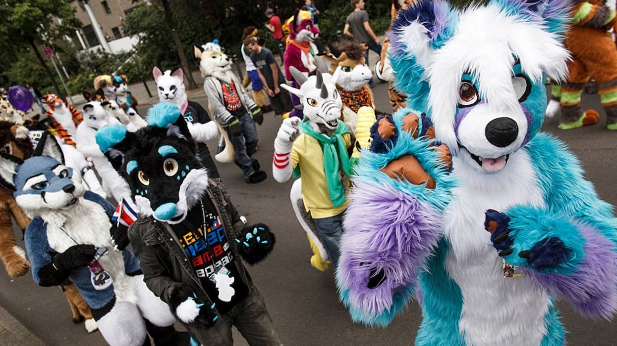 Boston College professor brings furries into classroom, instructs literature students to make their own 'fursonas'