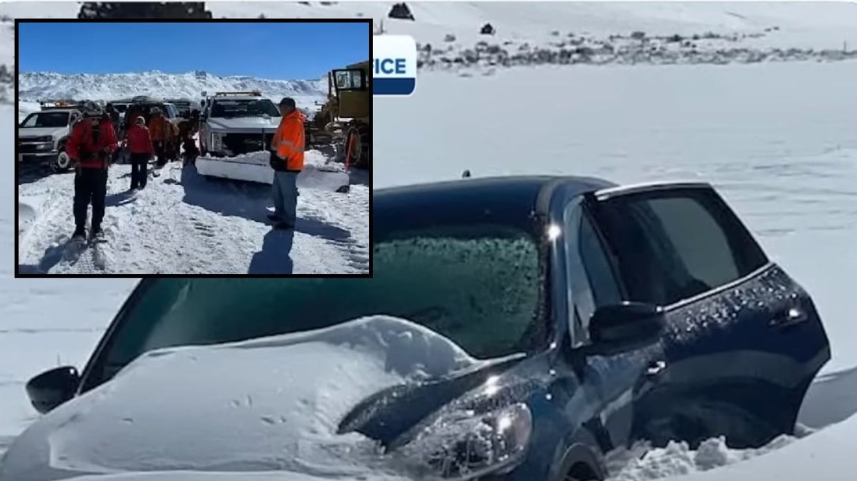81-year-old Air Force veteran survives 7 days stuck in snow: 'Don't give up hope'