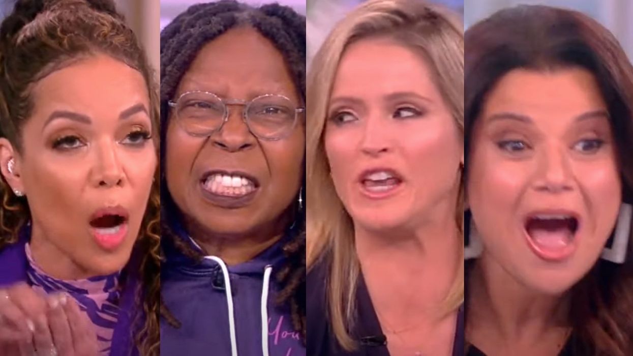 'The View' co-hosts melt down after Democrats turn on Kamala Harris for the 2024 ticket: 'I don't know what the hell is wrong!'