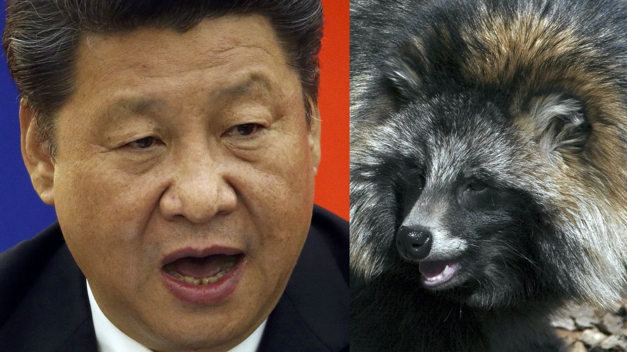 Chinese scientists quietly uploaded new data from Wuhan wet market pointing to raccoon dog as COVID source instead of lab leak, WHO demands transparency