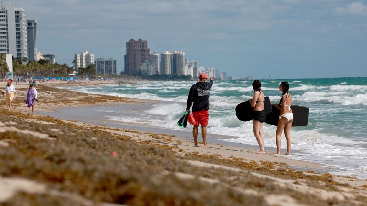 Spring break stinker: 5,000-mile-wide seaweed blob creeps toward Florida beaches