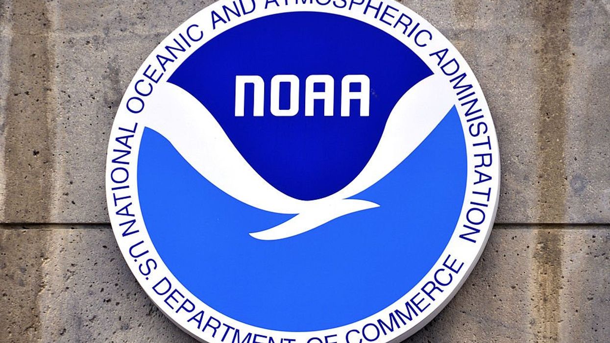 Woke National Weather Service hails '#TransDayOfVisibility'