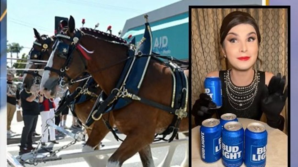 Budweiser Clydesdale event canceled as blowback continues over Bud Light's partnership with transgender activist
