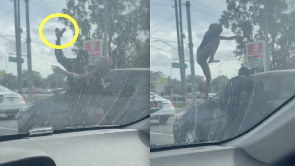 First they shoot at driver after 'minor crash,' cops say — then they pound her car with gun, stomp her windshield, order her to 'get out!' at traffic light