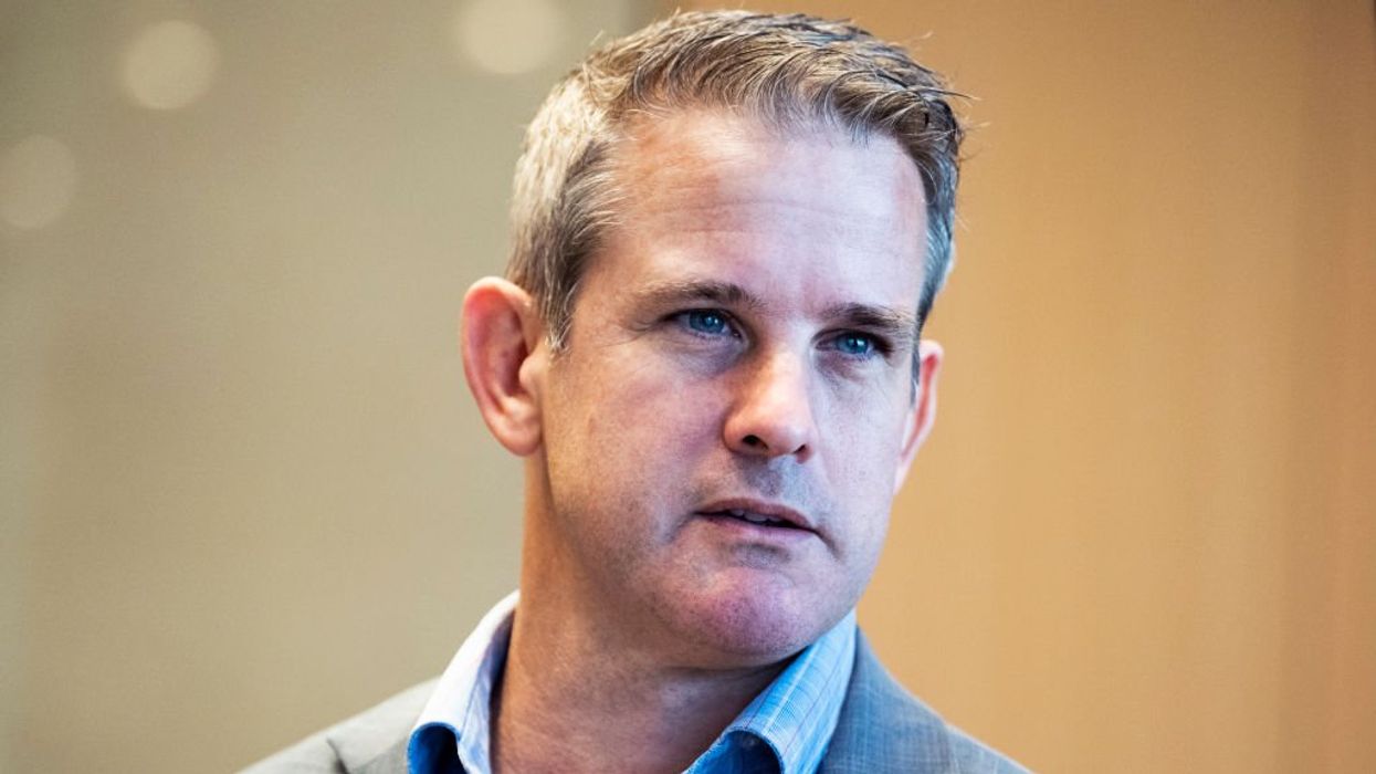 'Welcome to Illinois, SATAN': Adam Kinzinger says snake dropped out of plane's wheel well after four-hour flight