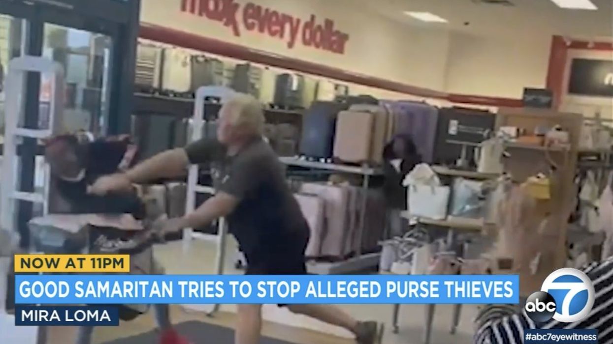 Video: Good Samaritan is all done playing, brutally throws apparent shoplifter into security gate after physical struggle over bags