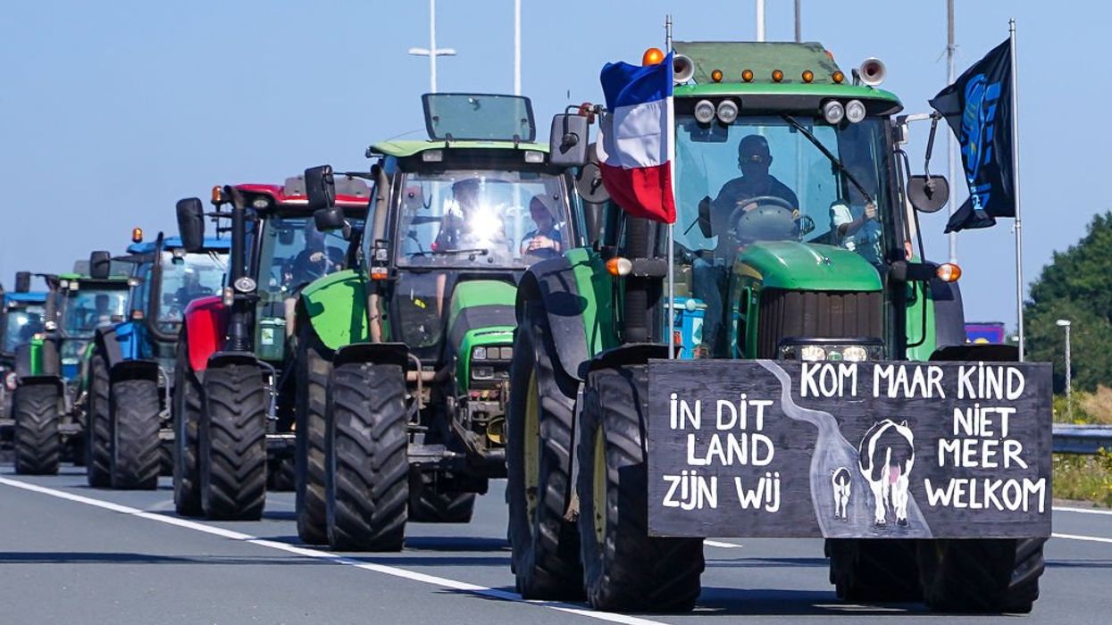 EU approves scheme to close 3,000 Dutch farms and permanently ban owners from farming elsewhere