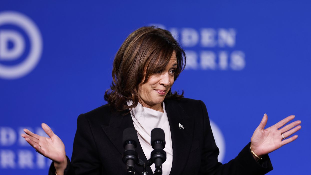 Kamala Harris tasked with cracking down on AI after proving unable to deal with border security