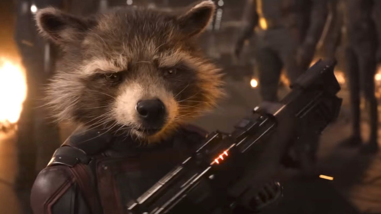 PETA declares latest 'Guardians of the Galaxy' movie the 'best animal rights film of the year'