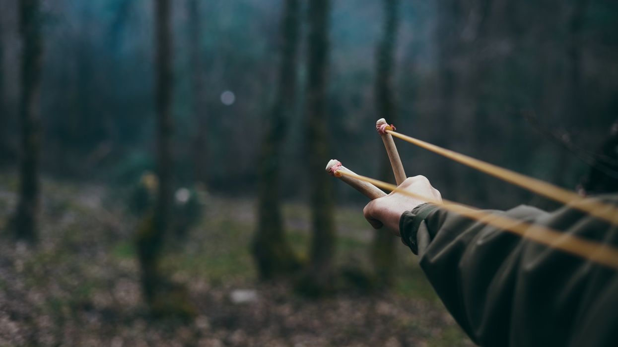 'Extraordinary' Michigan boy thwarts abduction of 8-year-old sister by shooting kidnapper with slingshot: Police