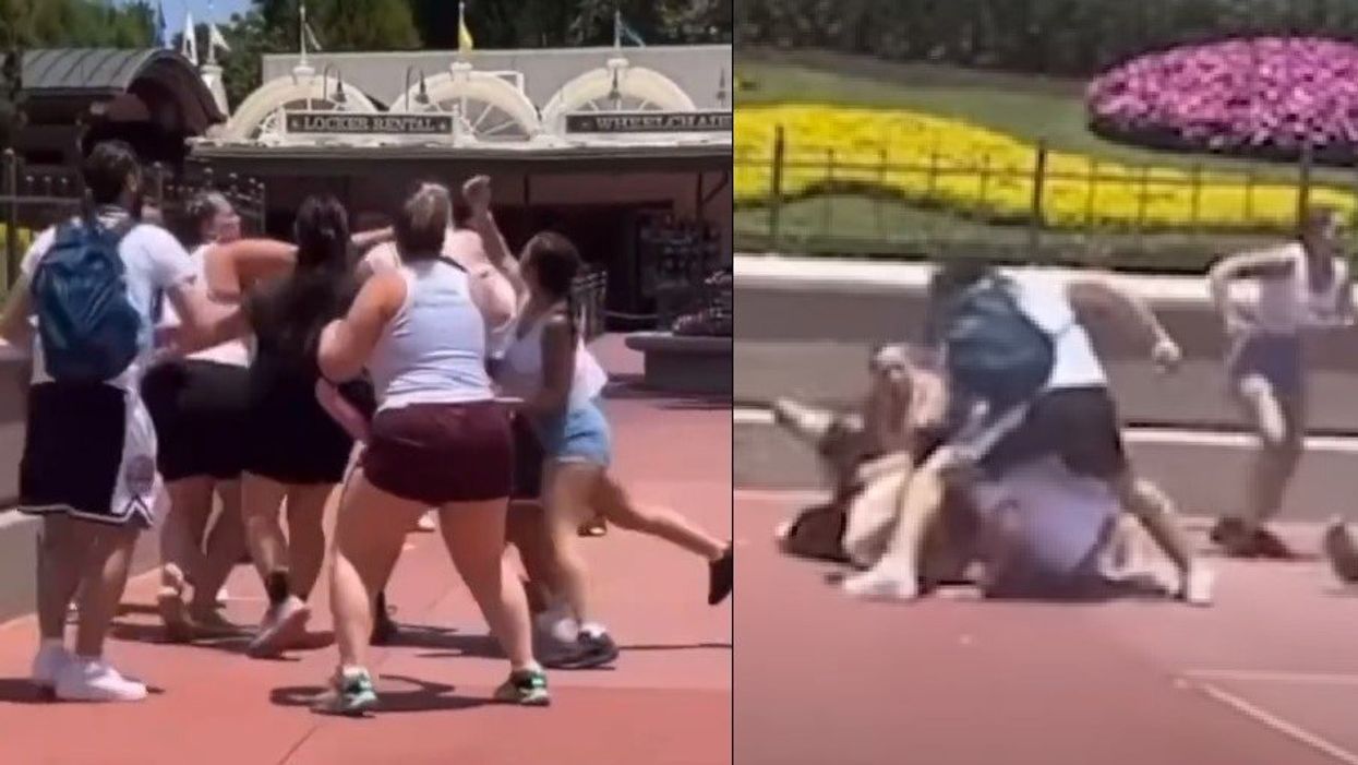 Family photo at Disney World turns violent after another family refuses to move out of the way