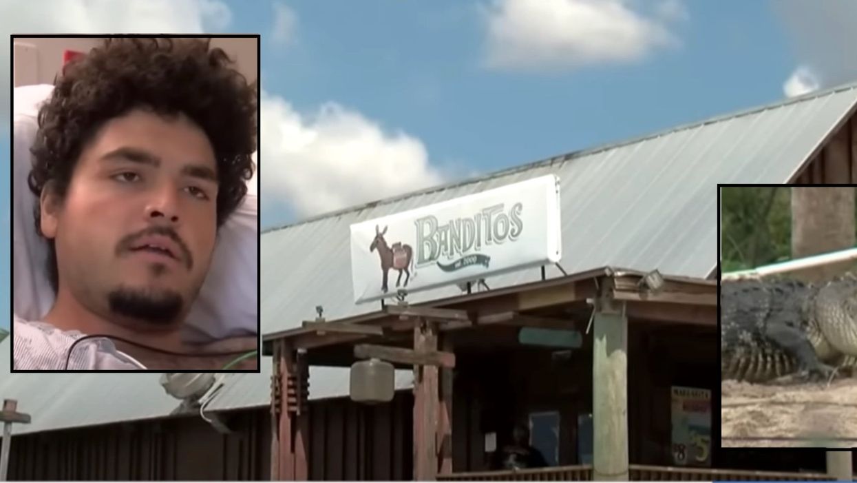 VIDEO: Florida man falls into pond he was peeing into behind bar and loses arm to alligator attack