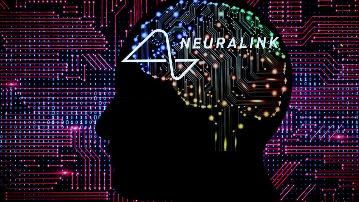 Elon Musk's Neuralink receives FDA green light for 'first-in-human clinical study'