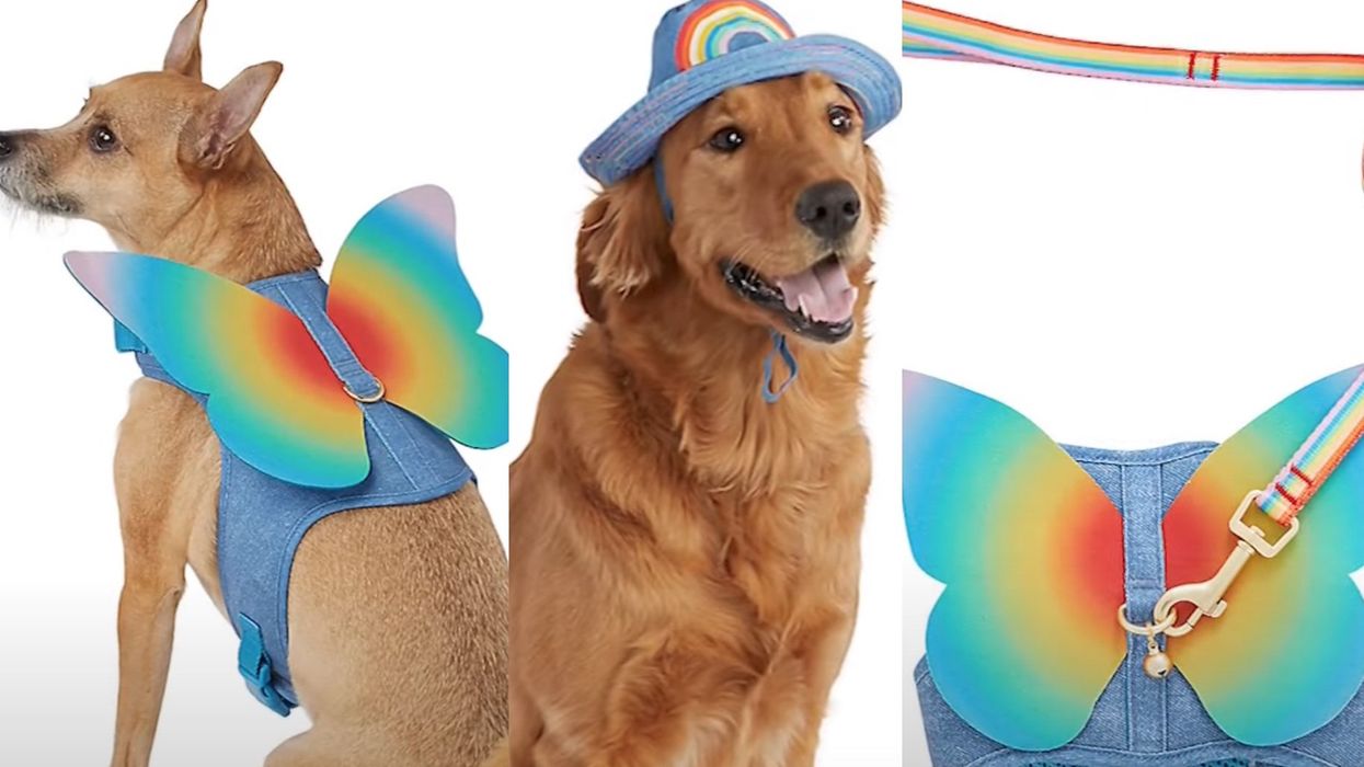 PetSmart faces backlash for LGBTQ-themed products 'for your gender-fluid fish' and other pets
