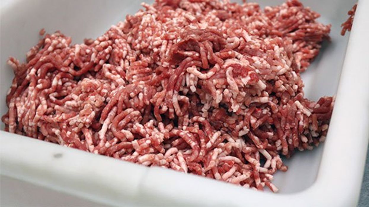 3 toxic foods for dogs: The one meat you should never feed your dog