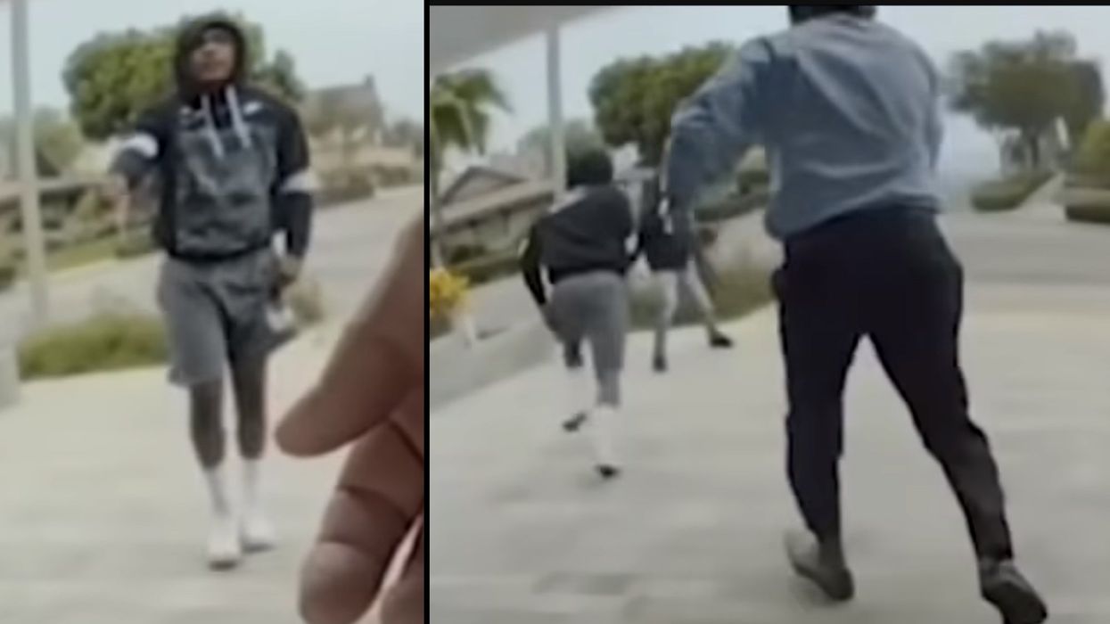 Tesla video shows Marine veteran fight off 2 attackers in California with the help of landscapers