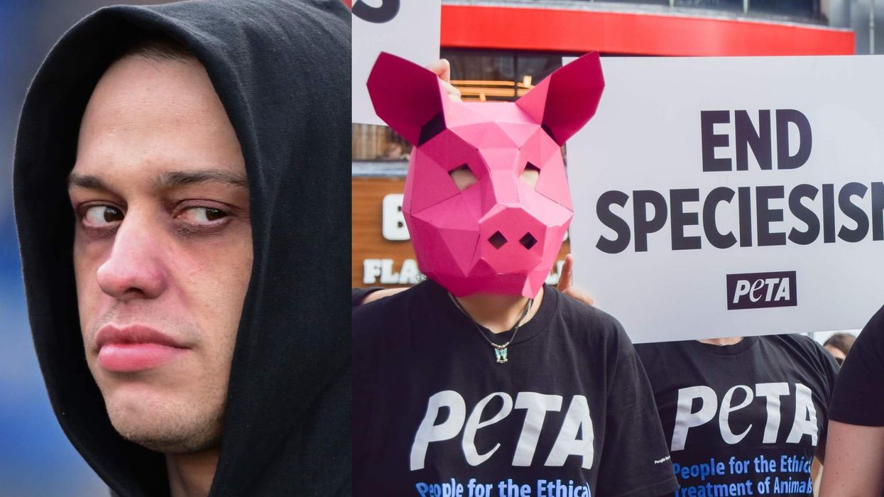 Comedian Pete Davidson rips into PETA on leaked voicemail over new puppy: 'F*** you and suck my ****!”