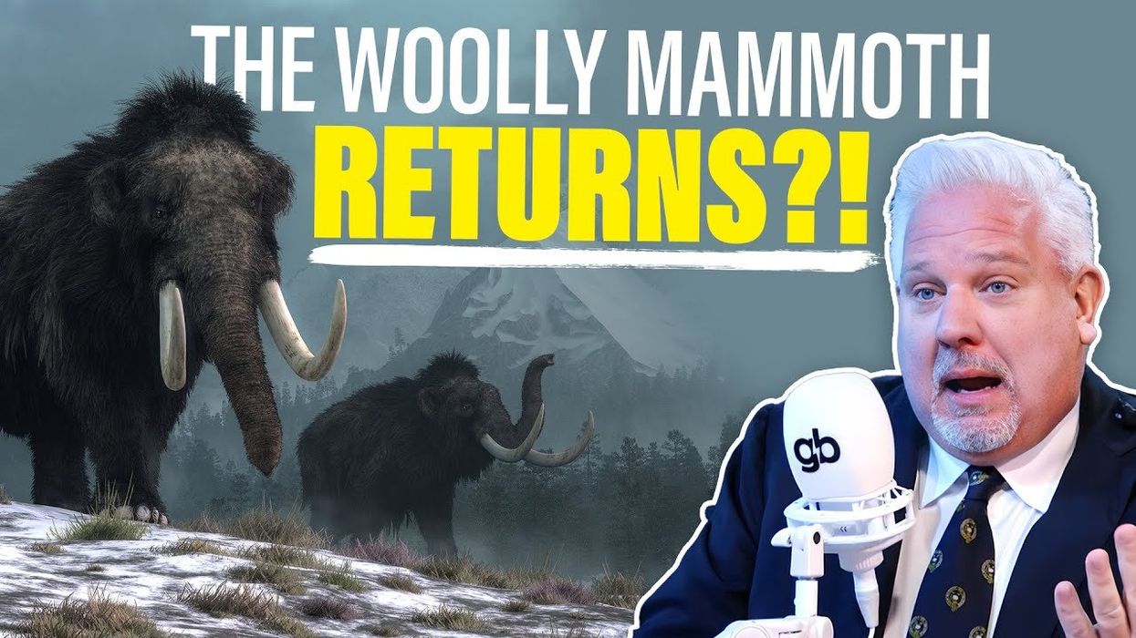 Bioscience company claims to have technology capable of resurrecting the woolly mammoth – Jurassic Park is HERE