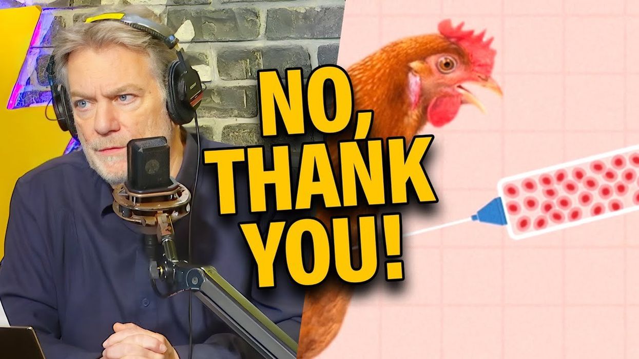 Lab-grown chicken is already available for purchase?!