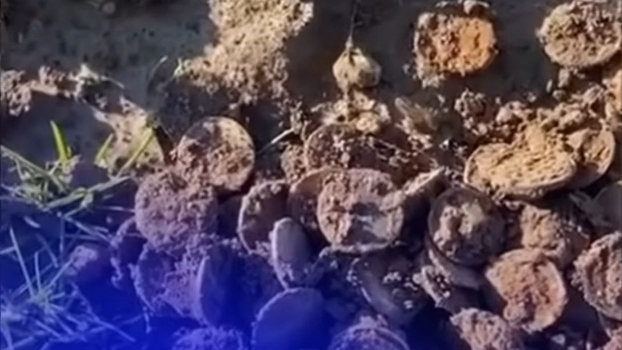 Kentucky man finds a fortune in Civil War-era gold coins beneath his corn field: 'Unf***ing real'
