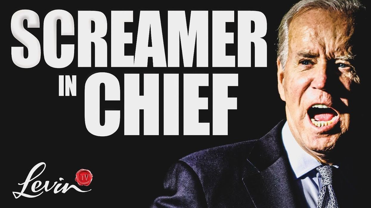 Meet the two faces of Joe Biden: Genial grandpa vs. abusive old man