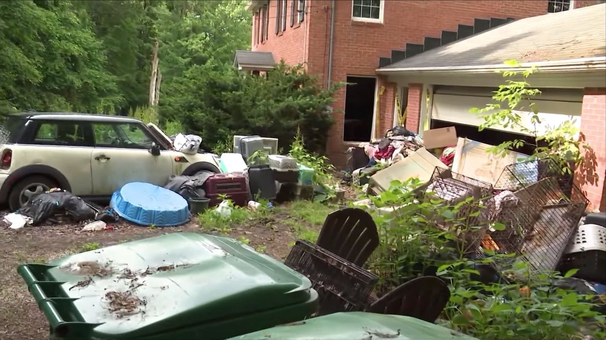 Elderly woman who ran dog rescue is charged with dozens of felonies in largest animal cruelty case in Ohio state history