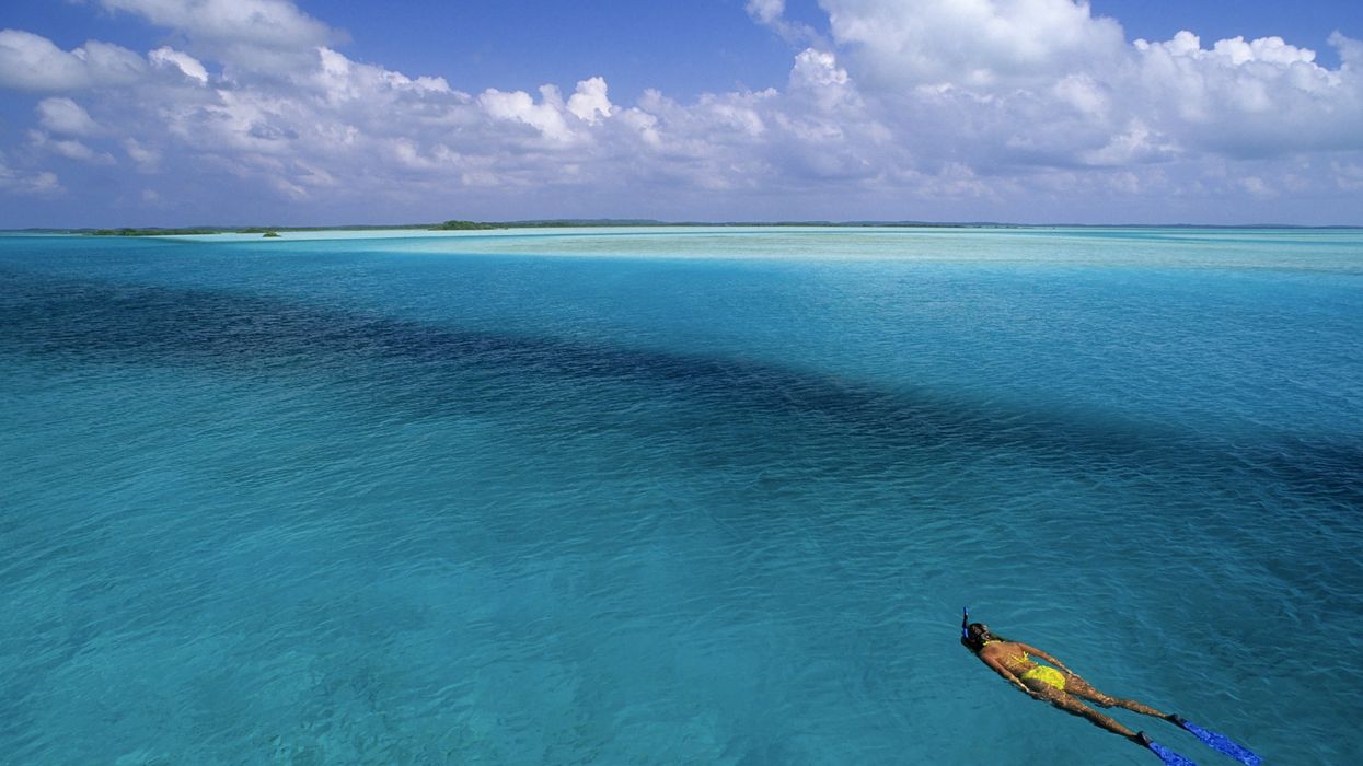 How a robbery at a Bahamas bar exposed an alleged murder-for-hire plot on a former Auburn football player by ex-beauty queen and her secret lover