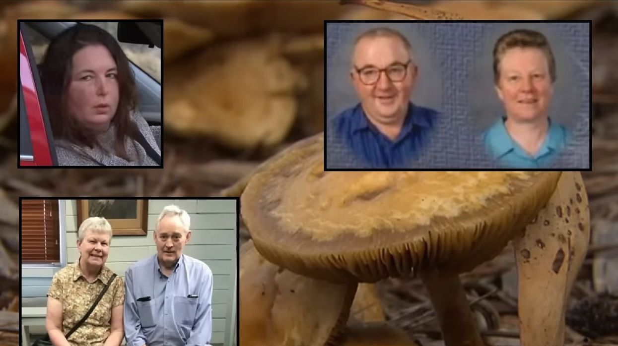 3 Australians die, 1 left critically ill after eating possibly poisonous mushrooms served by relative's ex-wife: 'It could be very innocent, but again we just don’t know'