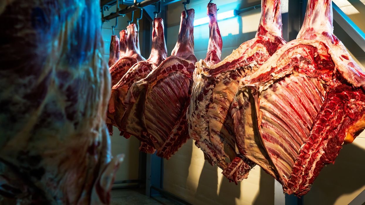 Owner who warned about dangers of company's meat grinder won't serve jail time after teen loses hand