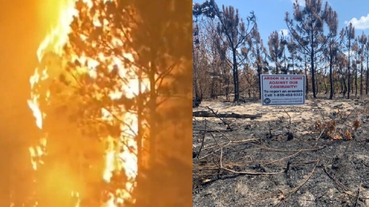 Arson caused largest wildfire in Louisiana history, which has already ravaged nearly 50 square miles: Investigators