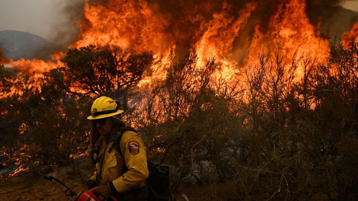Climate scientist admits to leaving 'out the full truth' about wildfire causes in order to get published in top scientific journal, reveals the tricks other alarmists play to get ahead