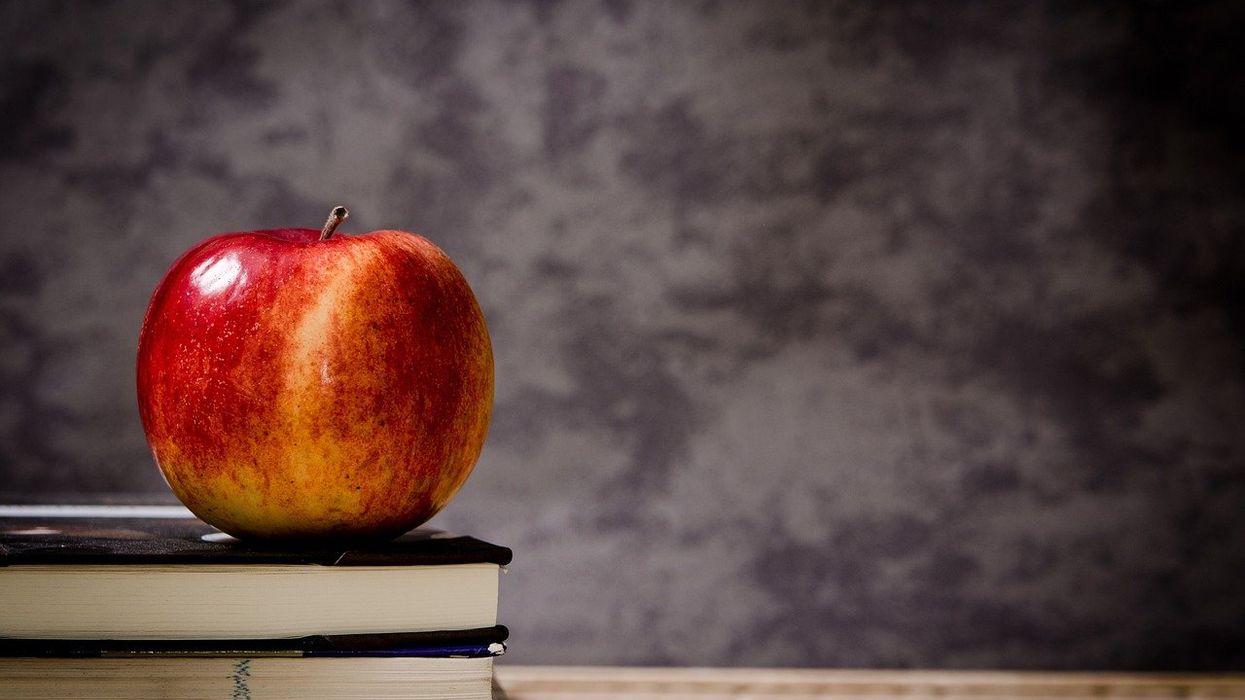 New York school teachers charged with punching, forcibly touching 12-year-old students
