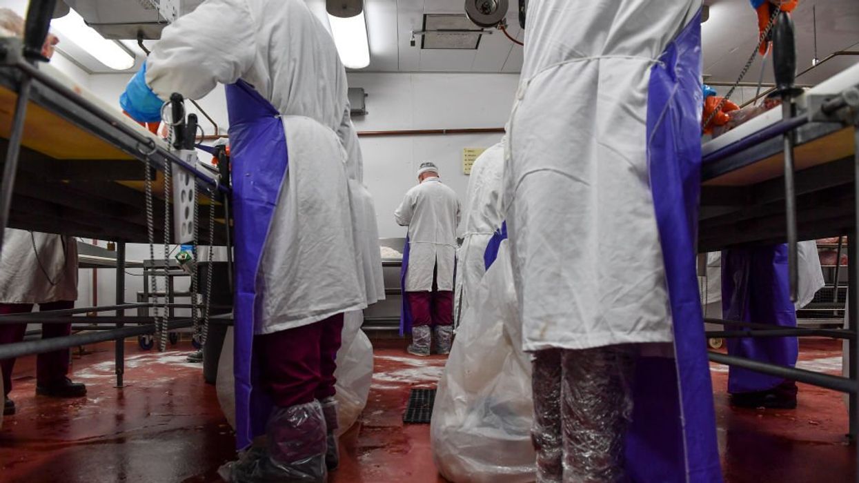 Tyson and Perdue face child labor investigations for allegedly contracting migrant teens to work dangerous positions at meat packing plants